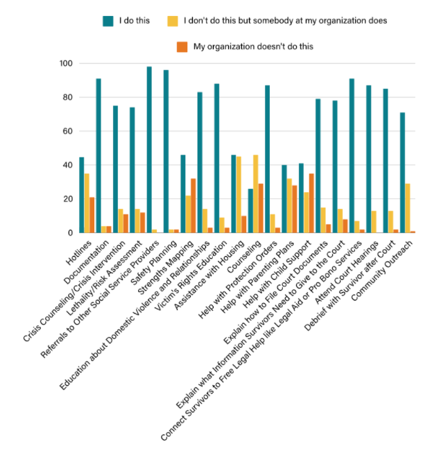 Chart of services provided to DV survivors.